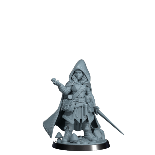 Halfling Rogue - Image 3