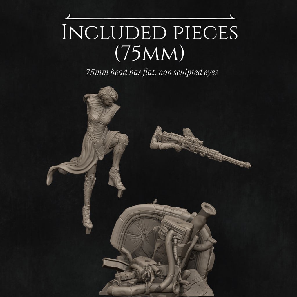 Aryn the Sniper Assassin - Image 8