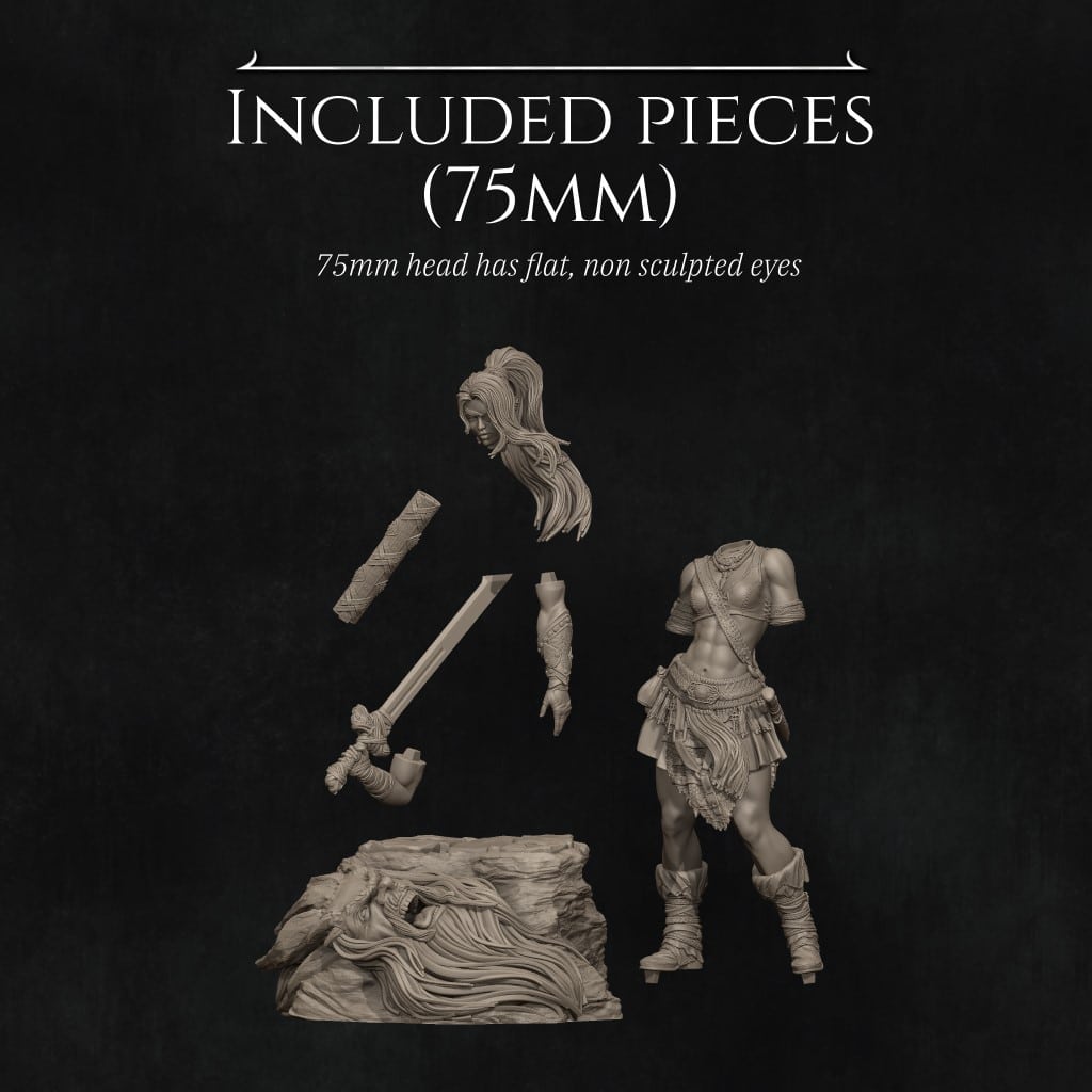 Lia The Barbarian Mercenary - Image 9