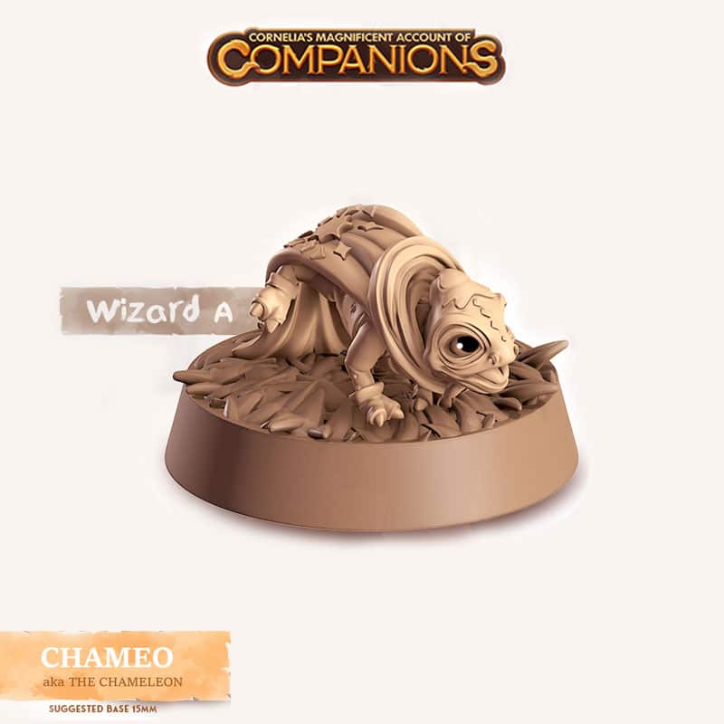 Chameo - Wizard A