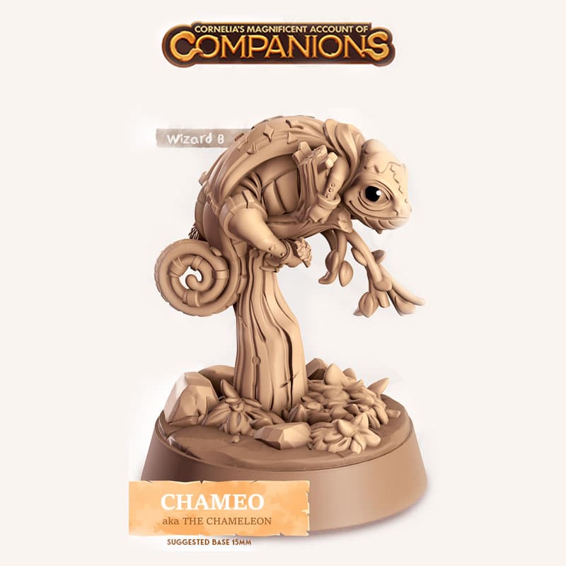 Chameo - Wizard B