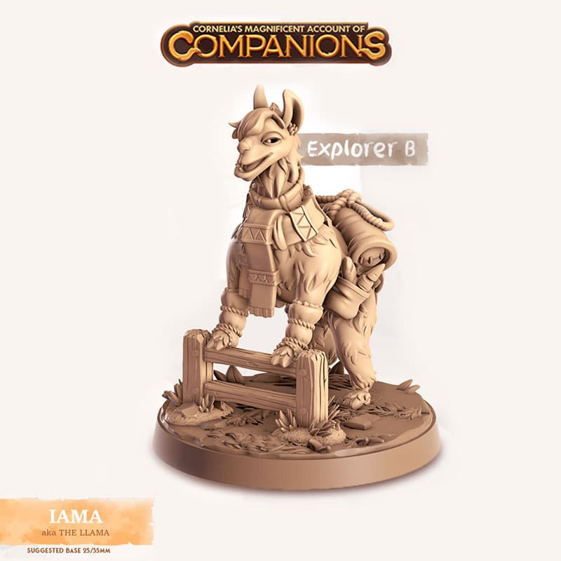 Llama - Explorer B