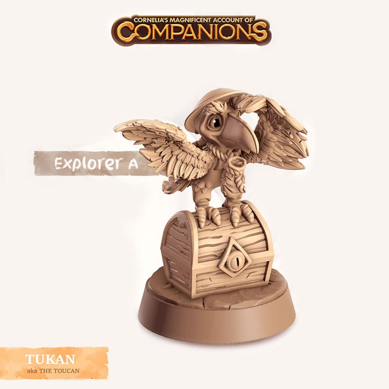 Toucan - Explorer A